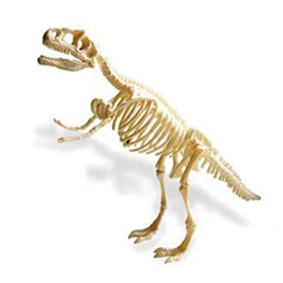 공룡화석발굴KIT(티라노사우르스)